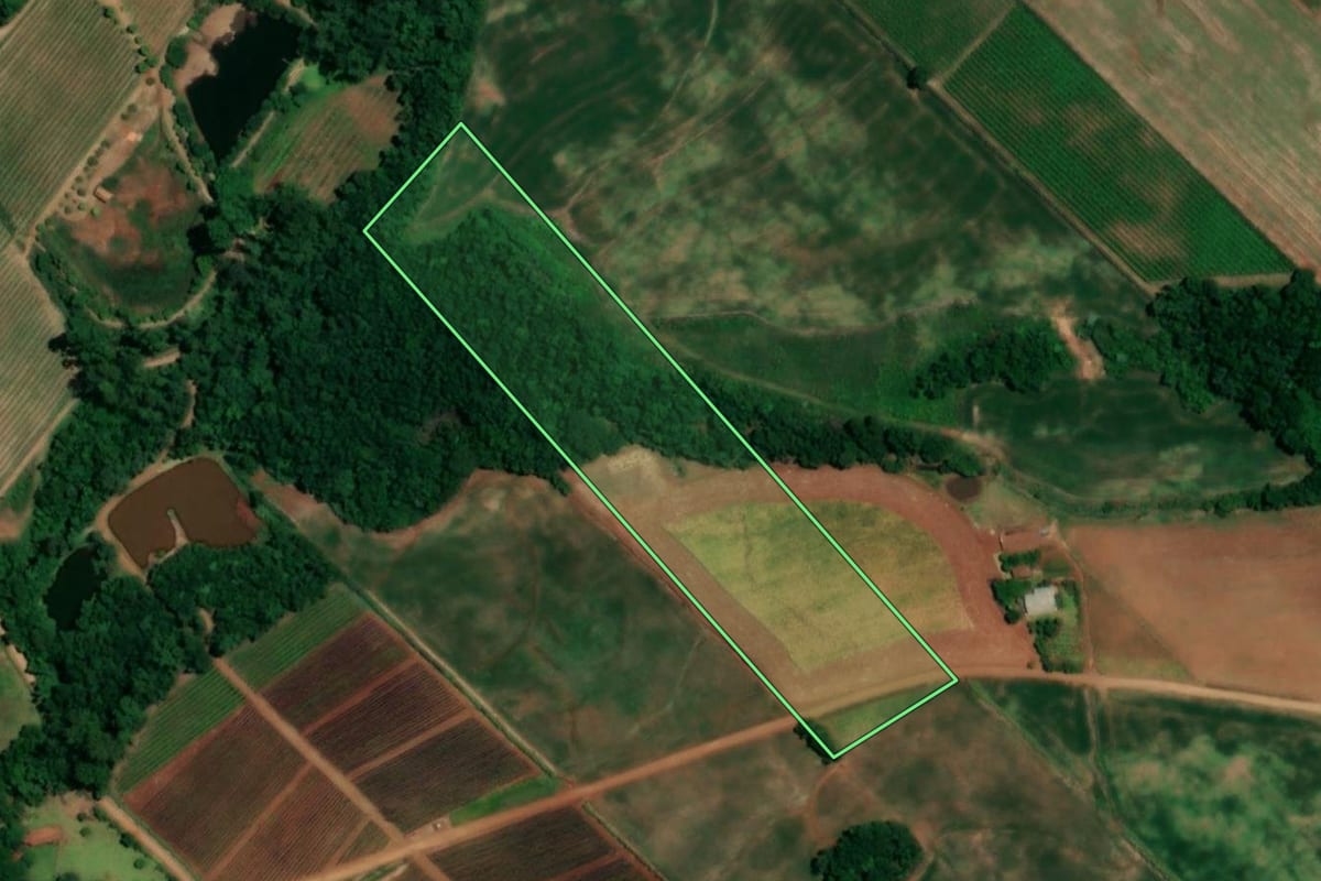 Imagem de satélite do imóvel rural em Crissiumal (RS), com o contorno declarado no CAR desenhado por cima.