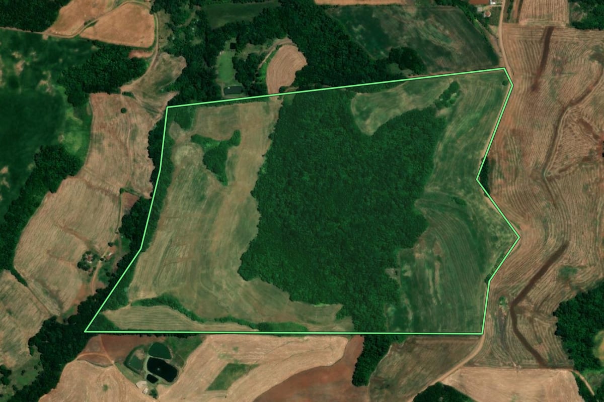 Imagem de satélite do imóvel rural em Crissiumal (RS), com o contorno declarado no CAR desenhado por cima.