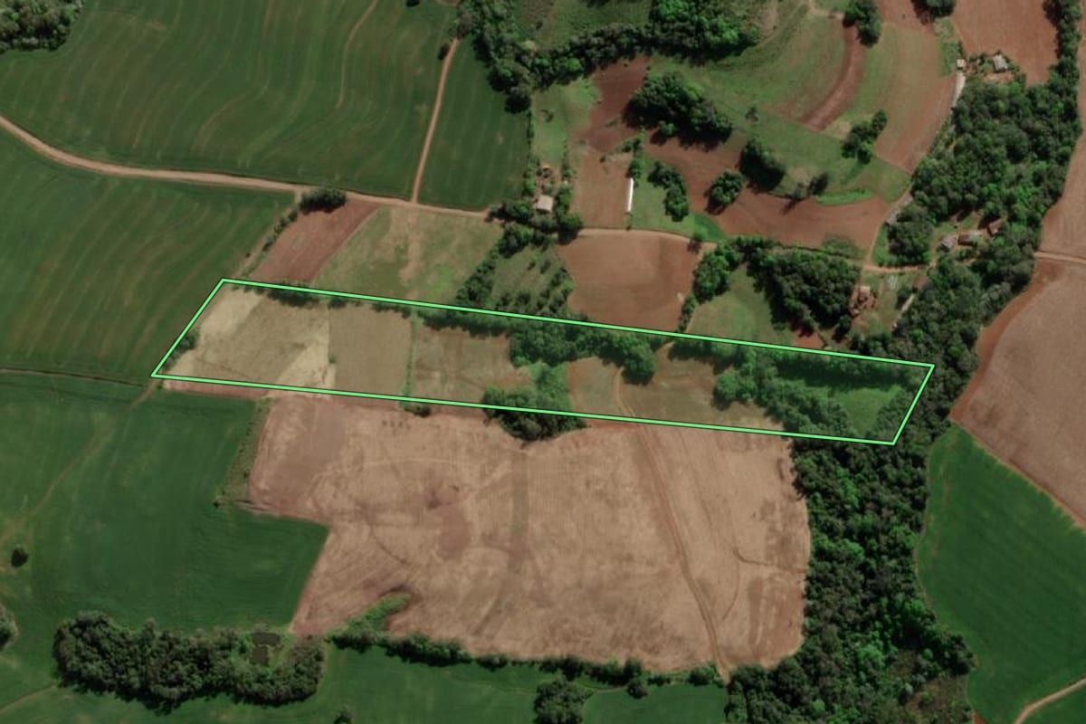 Imagem de satélite do imóvel rural em Crissiumal (RS), com o contorno declarado no CAR desenhado por cima.