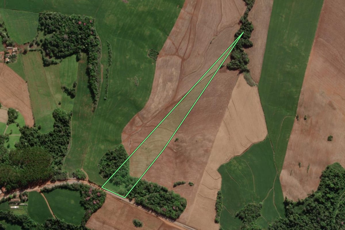 Imagem de satélite do imóvel rural em Crissiumal (RS), com o contorno declarado no CAR desenhado por cima.