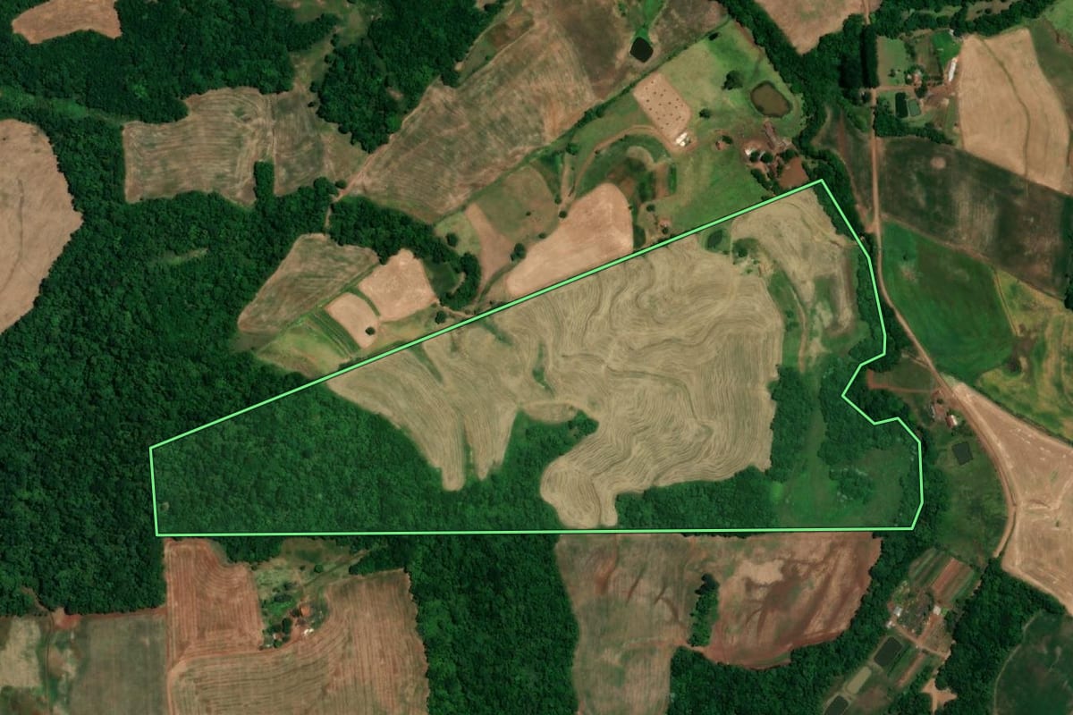 Imagem de satélite do imóvel rural em Crissiumal (RS), com o contorno declarado no CAR desenhado por cima.