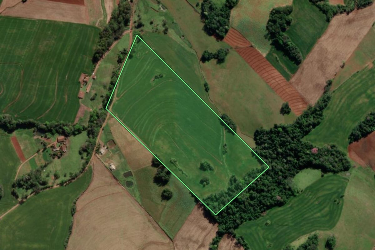 Imagem de satélite do imóvel rural em Crissiumal (RS), com o contorno declarado no CAR desenhado por cima.