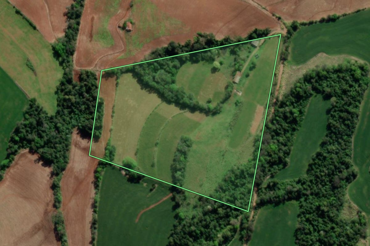 Imagem de satélite do imóvel rural em Crissiumal (RS), com o contorno declarado no CAR desenhado por cima.