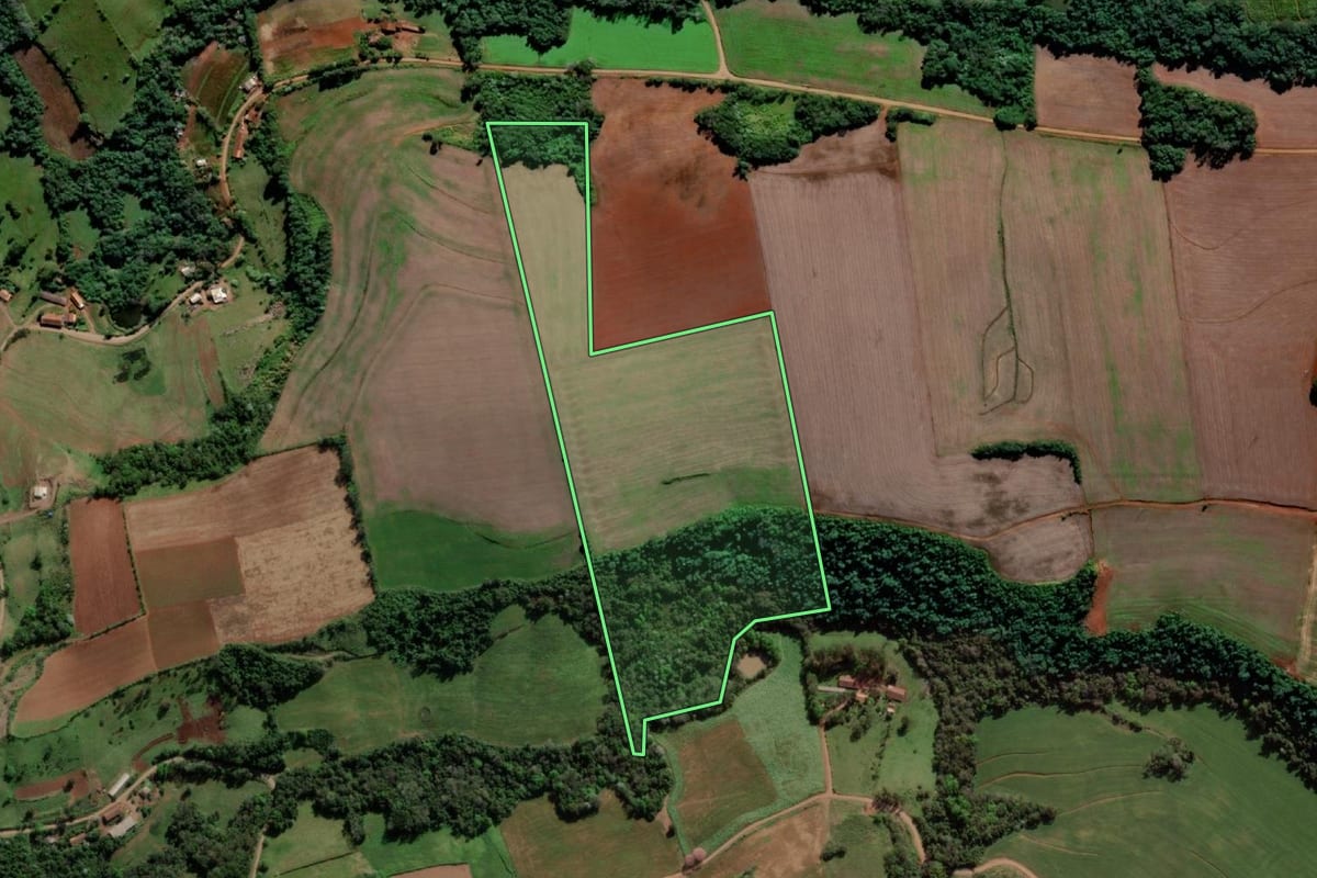 Imagem de satélite do imóvel rural em Crissiumal (RS), com o contorno declarado no CAR desenhado por cima.