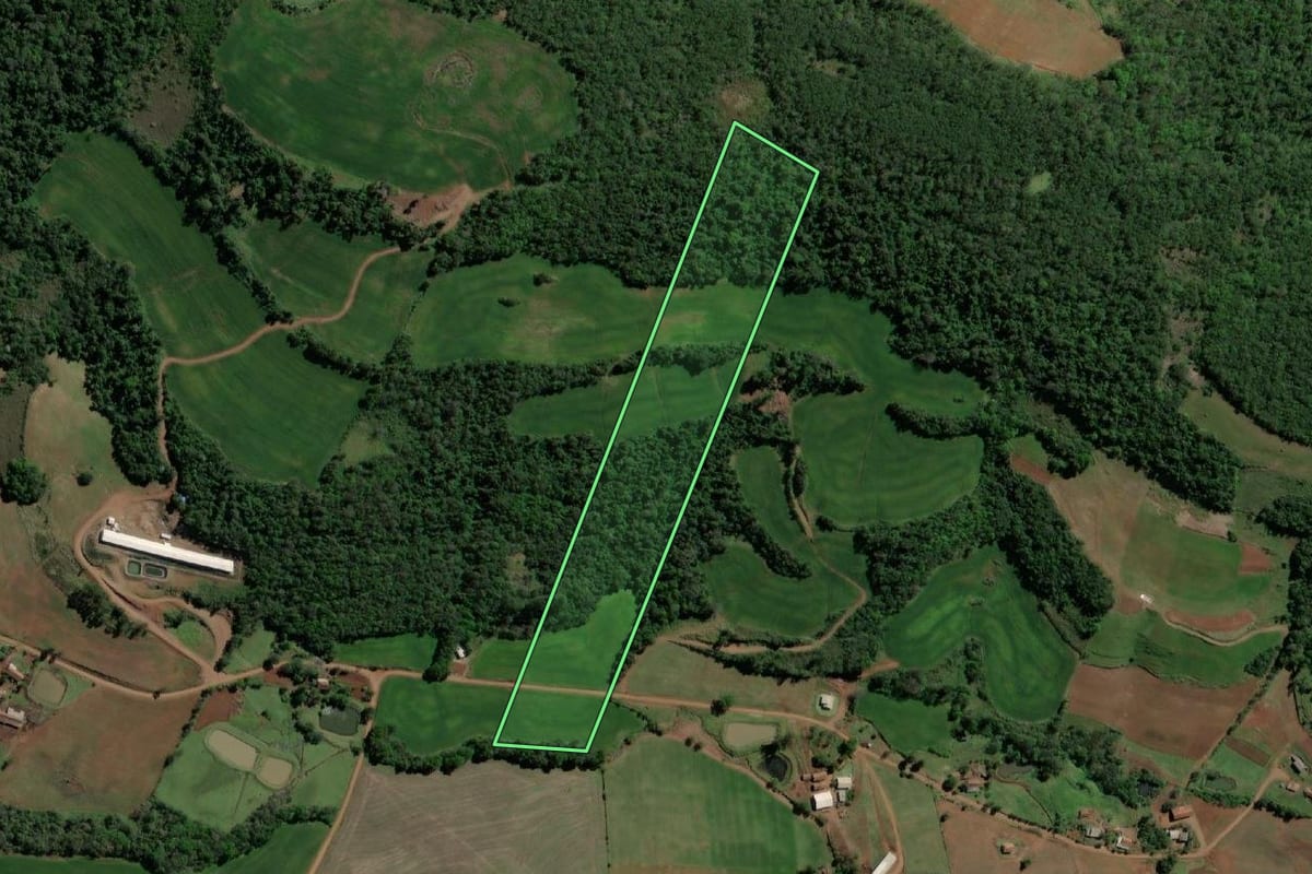 Imagem de satélite do imóvel rural em Crissiumal (RS), com o contorno declarado no CAR desenhado por cima.