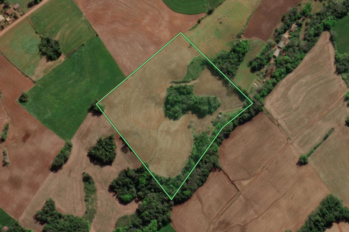 Imagem de satélite do imóvel rural em Crissiumal (RS), com o contorno declarado no CAR desenhado por cima.
