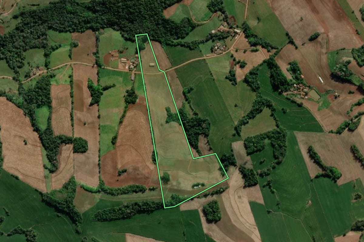 Imagem de satélite do imóvel rural em Crissiumal (RS), com o contorno declarado no CAR desenhado por cima.