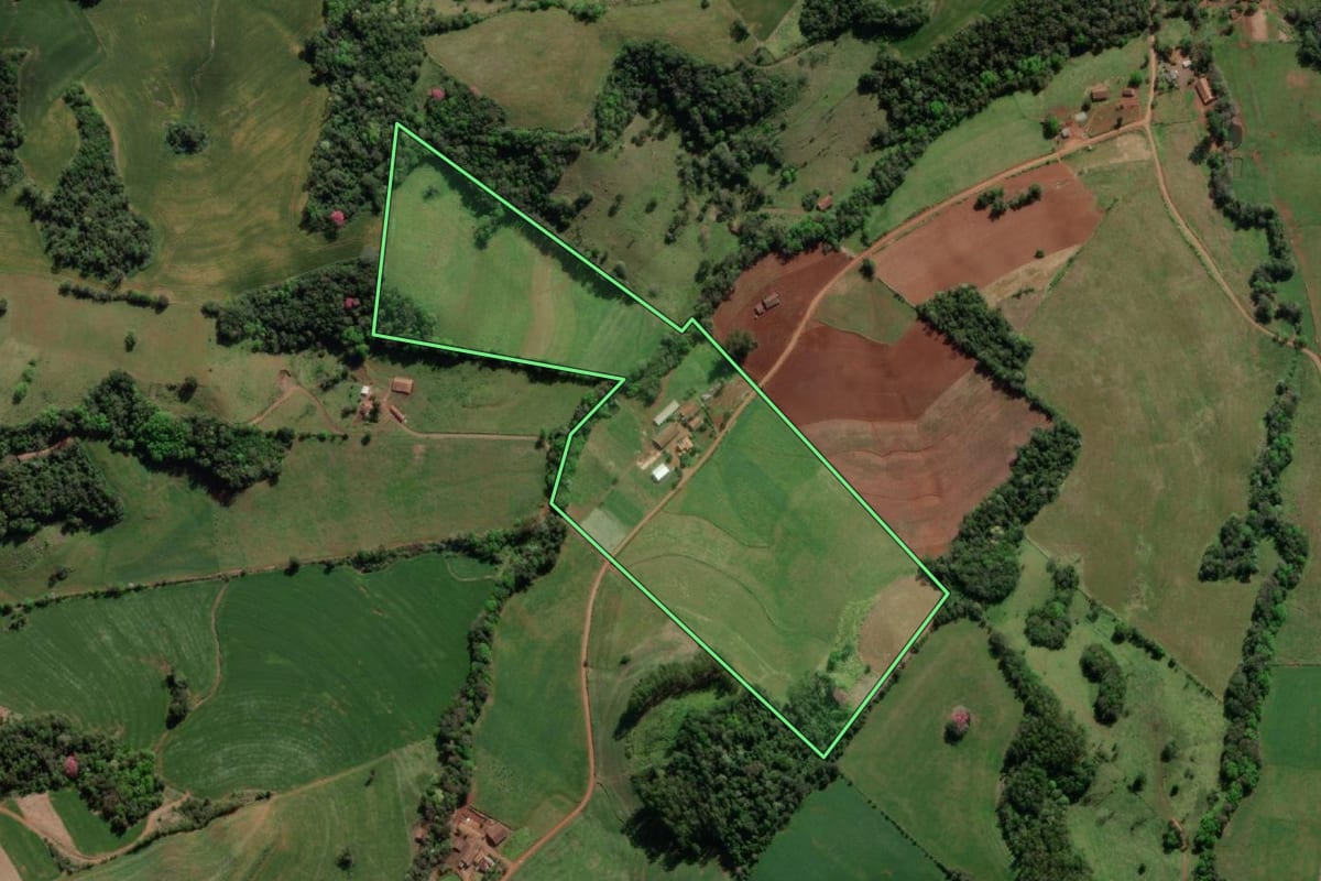 Imagem de satélite do imóvel rural em Crissiumal (RS), com o contorno declarado no CAR desenhado por cima.