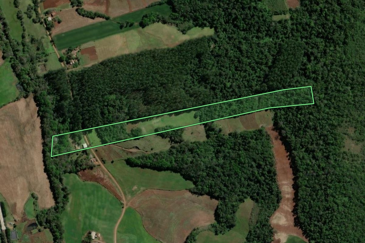 Imagem de satélite do imóvel rural em Crissiumal (RS), com o contorno declarado no CAR desenhado por cima.