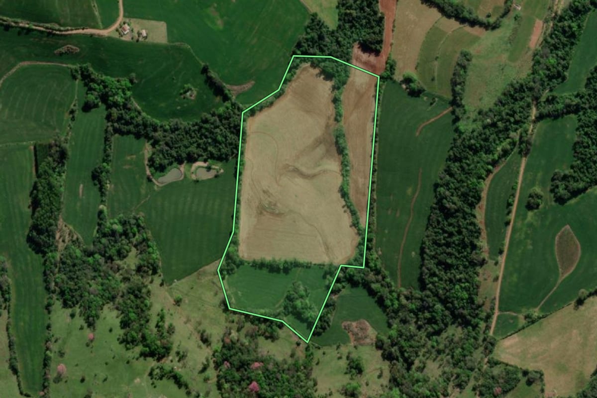 Imagem de satélite do imóvel rural em Crissiumal (RS), com o contorno declarado no CAR desenhado por cima.