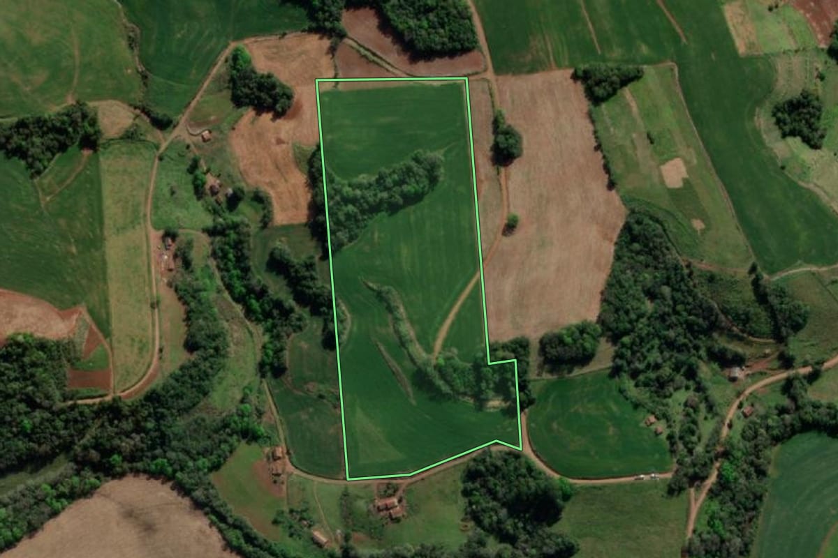 Imagem de satélite do imóvel rural em Crissiumal (RS), com o contorno declarado no CAR desenhado por cima.