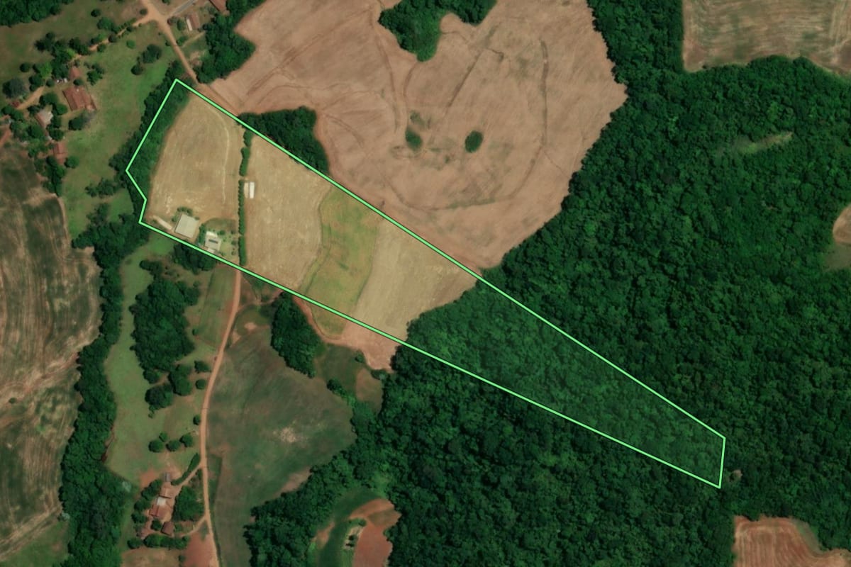 Imagem de satélite do imóvel rural em Crissiumal (RS), com o contorno declarado no CAR desenhado por cima.