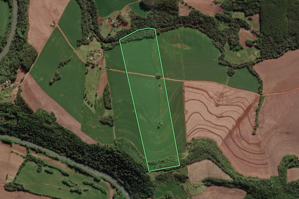Imagem de satélite do imóvel rural em Crissiumal (RS), com o contorno declarado no CAR desenhado por cima.