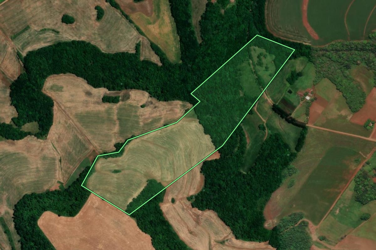 Imagem de satélite do imóvel rural em Crissiumal (RS), com o contorno declarado no CAR desenhado por cima.
