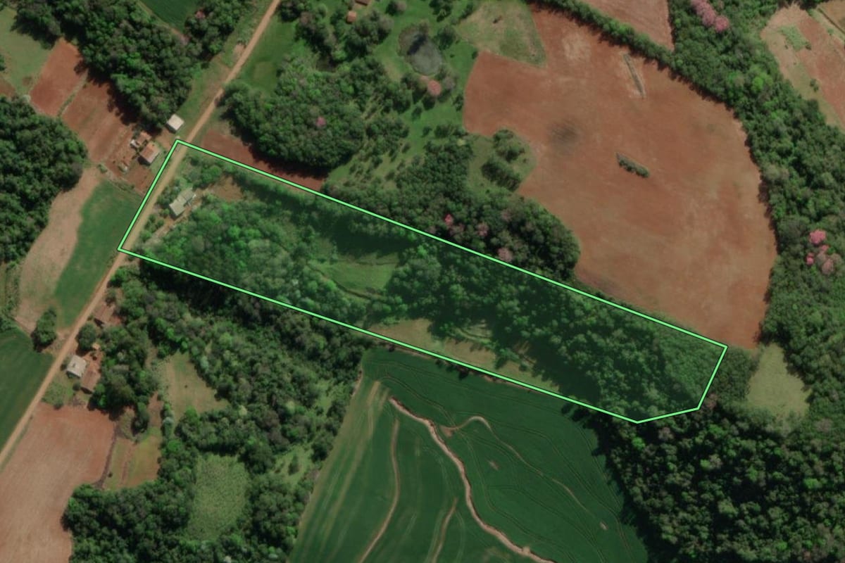 Imagem de satélite do imóvel rural em Crissiumal (RS), com o contorno declarado no CAR desenhado por cima.