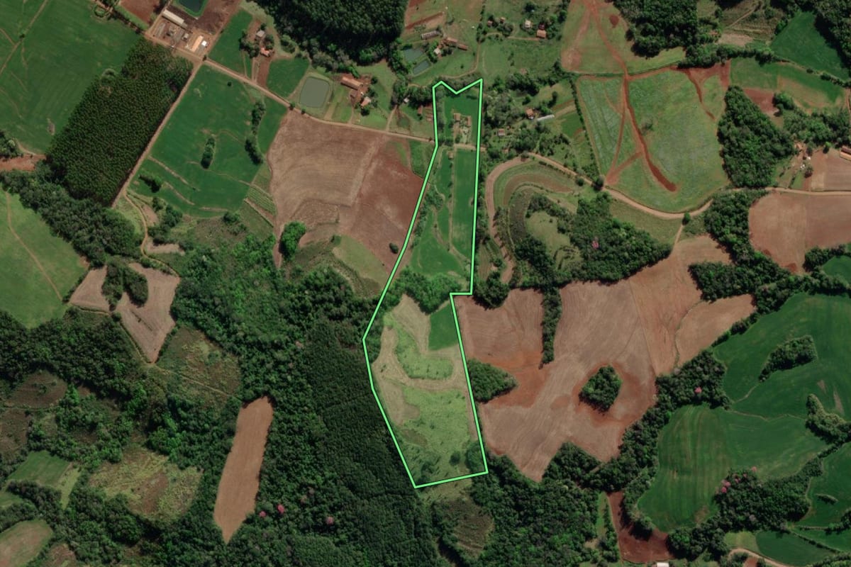 Imagem de satélite do imóvel rural em Crissiumal (RS), com o contorno declarado no CAR desenhado por cima.