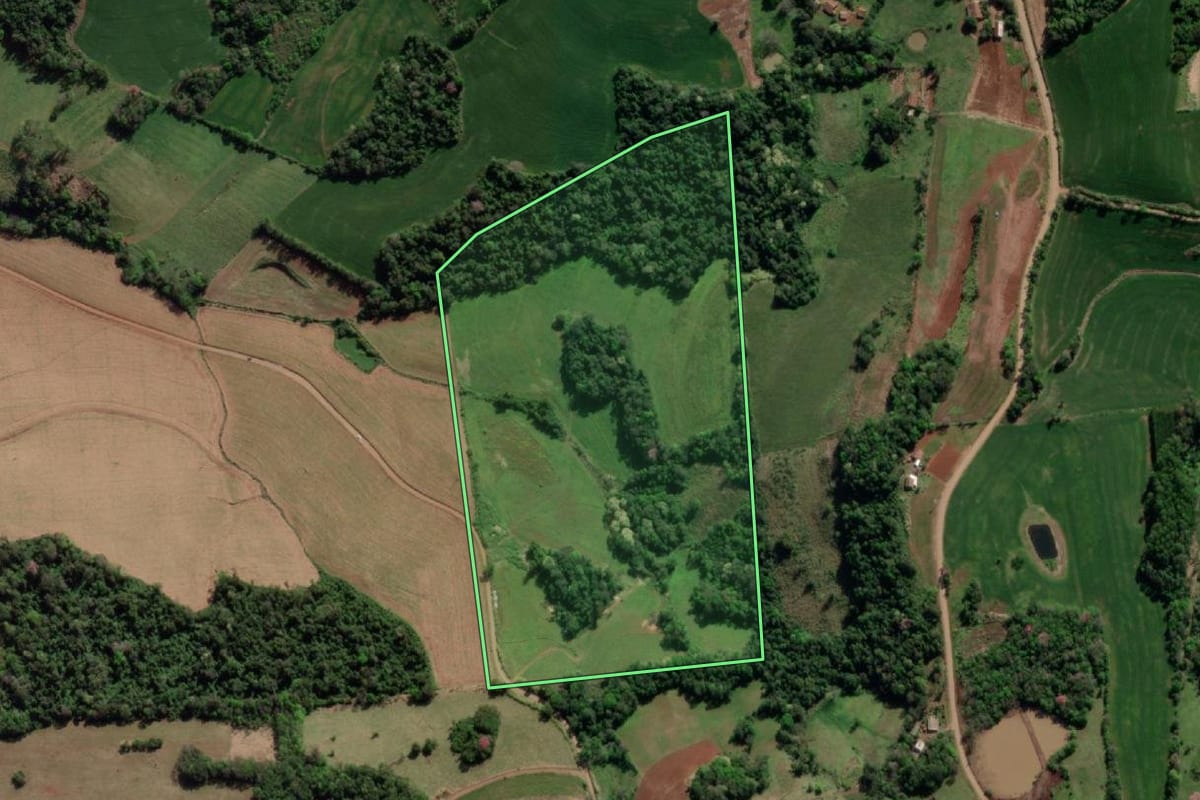 Imagem de satélite do imóvel rural em Crissiumal (RS), com o contorno declarado no CAR desenhado por cima.