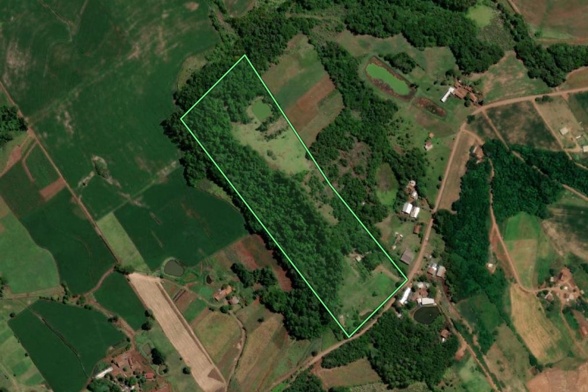 Imagem de satélite do imóvel rural em Crissiumal (RS), com o contorno declarado no CAR desenhado por cima.