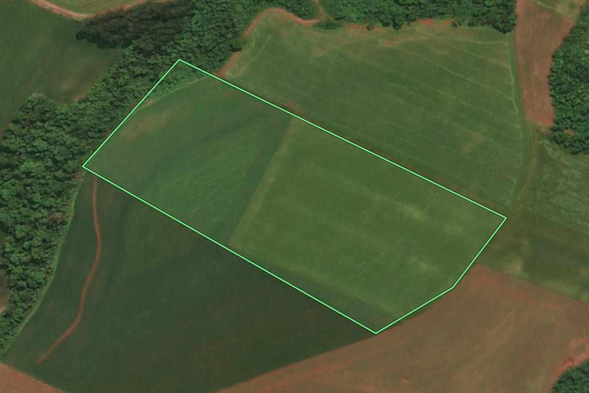 Imagem de satélite do imóvel rural em Crissiumal (RS), com o contorno declarado no CAR desenhado por cima.