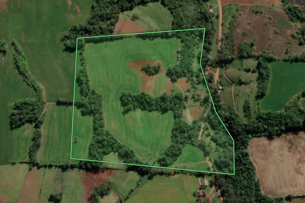Imagem de satélite do imóvel rural em Crissiumal (RS), com o contorno declarado no CAR desenhado por cima.