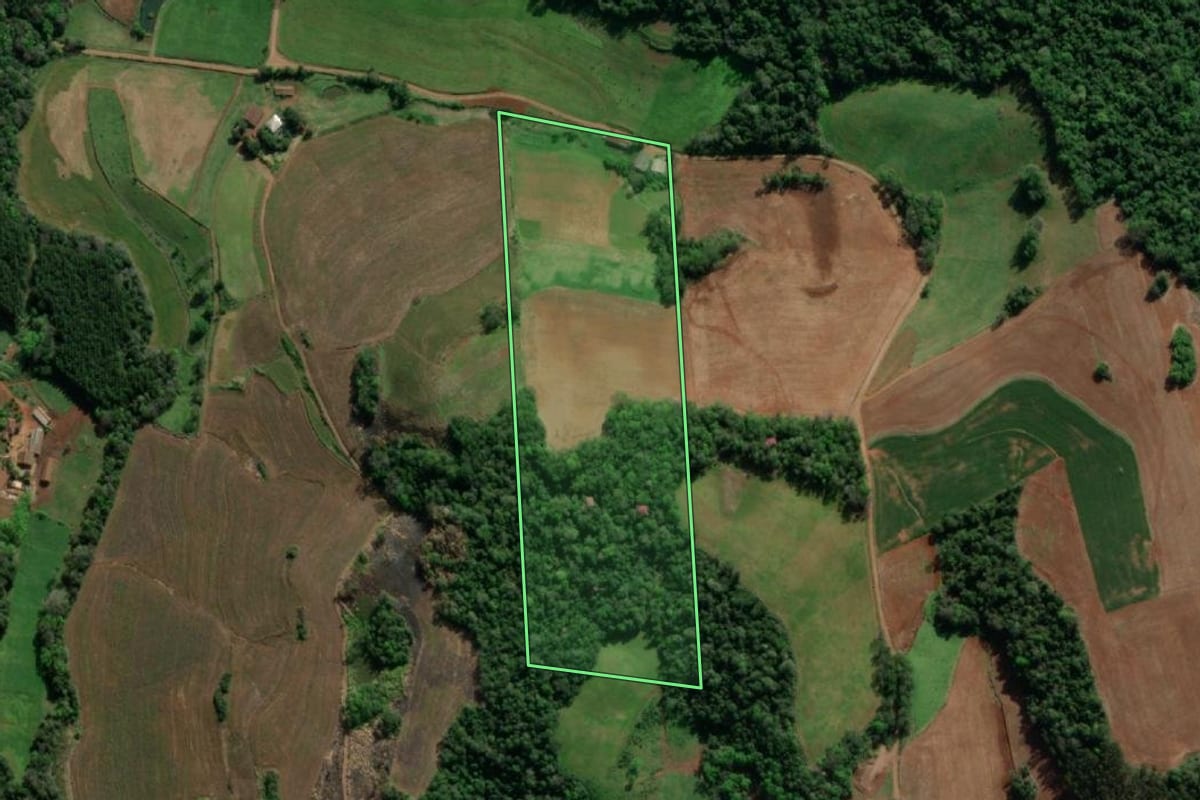 Imagem de satélite do imóvel rural em Crissiumal (RS), com o contorno declarado no CAR desenhado por cima.