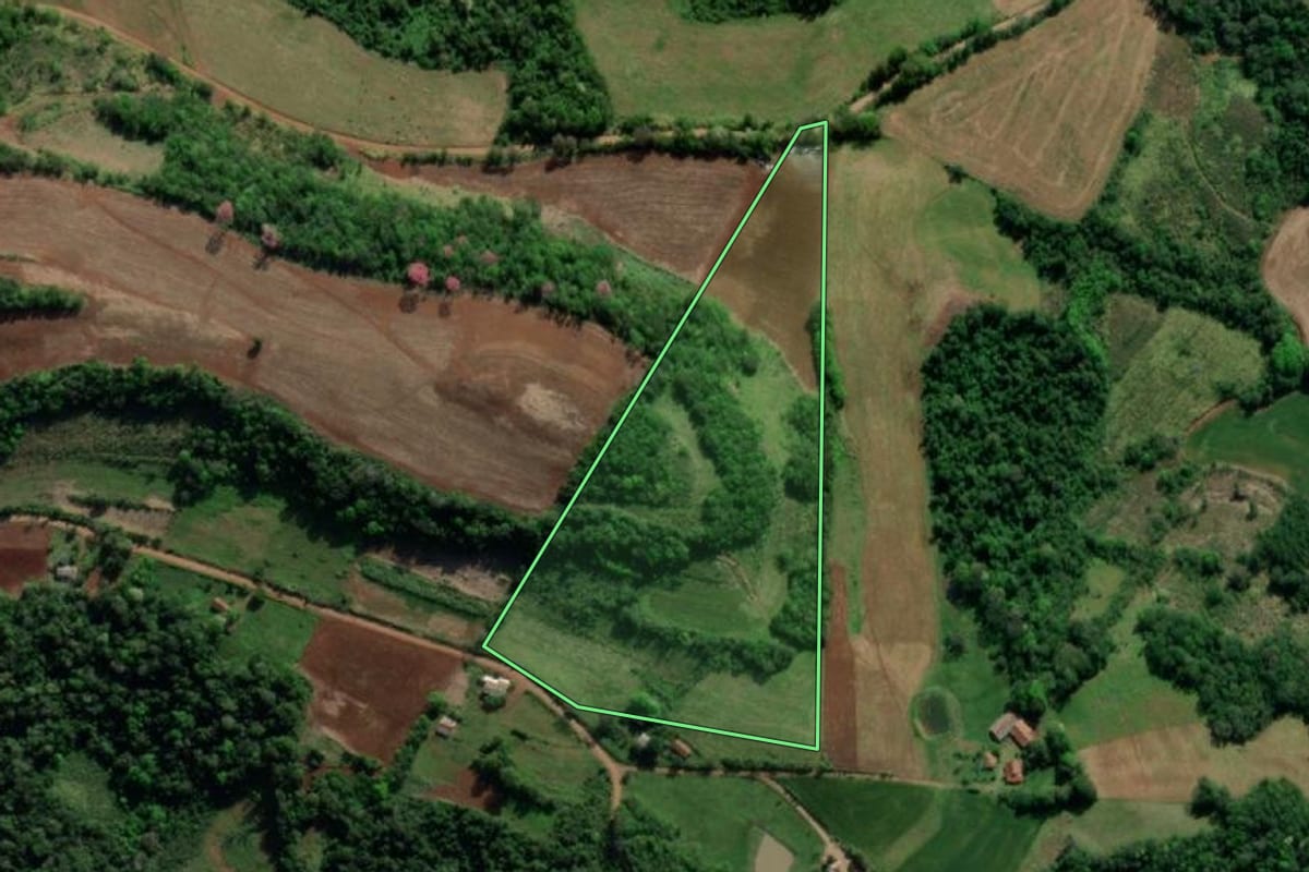 Imagem de satélite do imóvel rural em Crissiumal (RS), com o contorno declarado no CAR desenhado por cima.