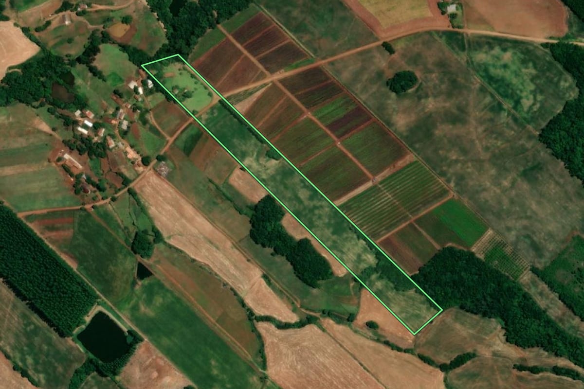 Imagem de satélite do imóvel rural em Crissiumal (RS), com o contorno declarado no CAR desenhado por cima.