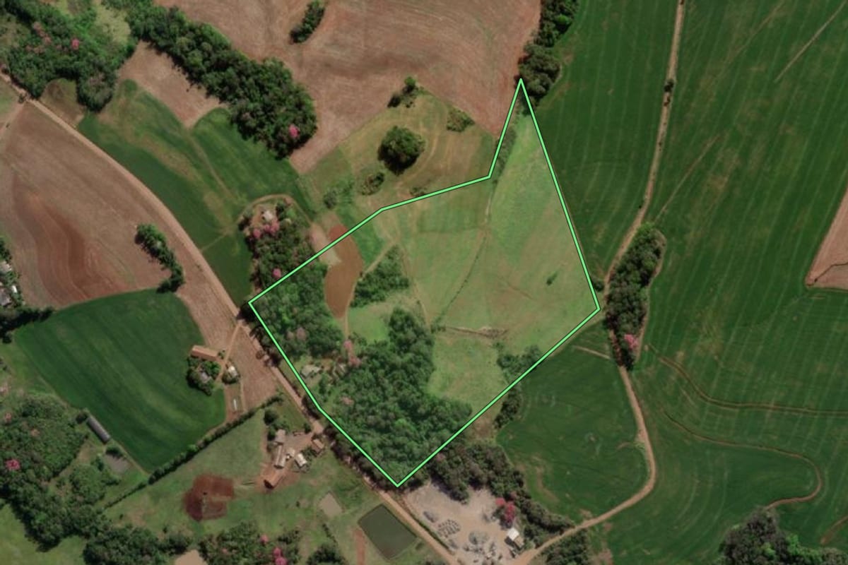 Imagem de satélite do imóvel rural em Crissiumal (RS), com o contorno declarado no CAR desenhado por cima.