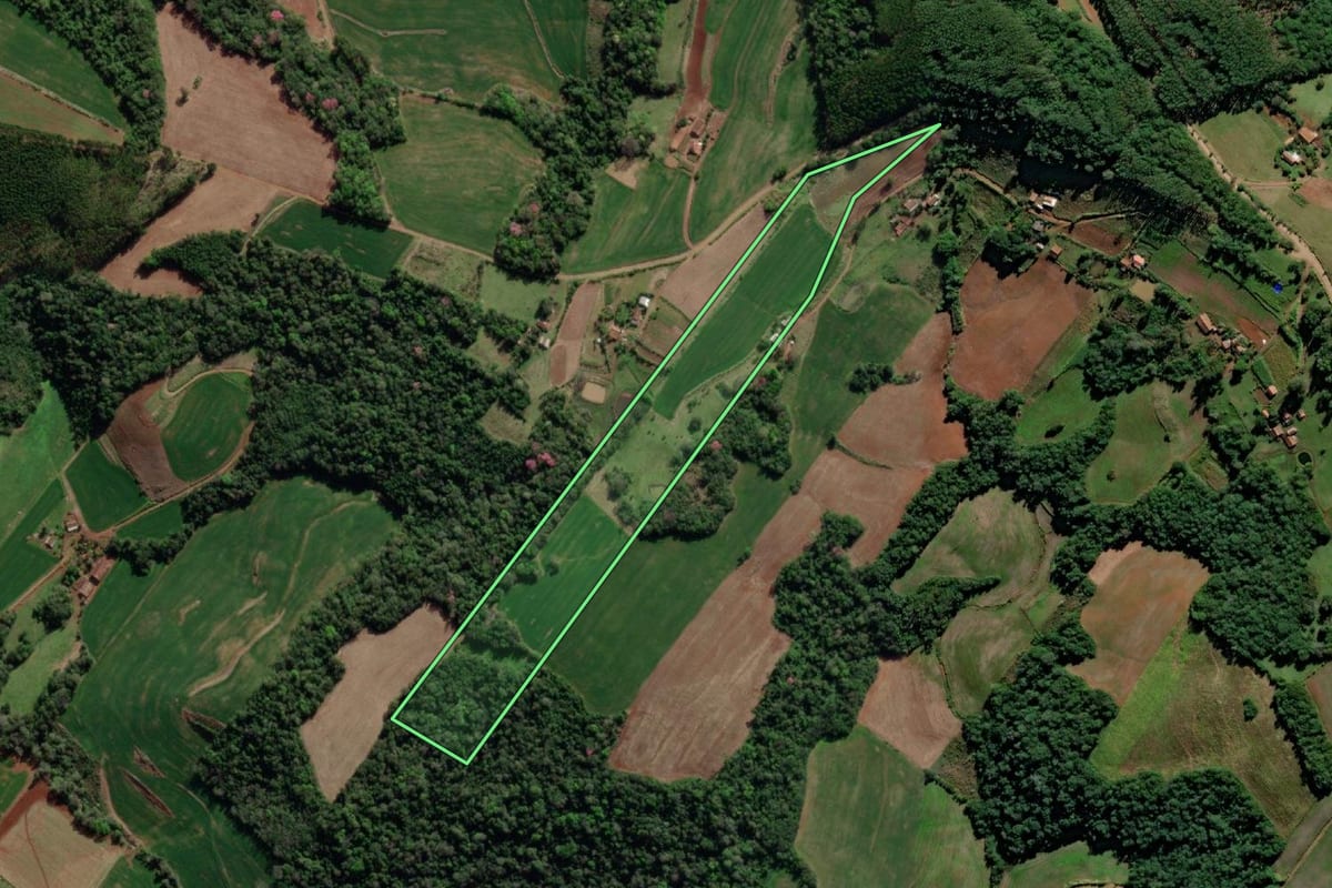 Imagem de satélite do imóvel rural em Crissiumal (RS), com o contorno declarado no CAR desenhado por cima.