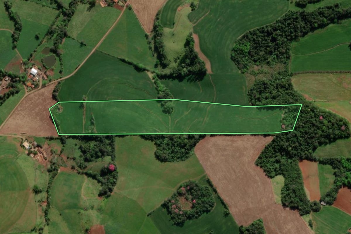 Imagem de satélite do imóvel rural em Crissiumal (RS), com o contorno declarado no CAR desenhado por cima.