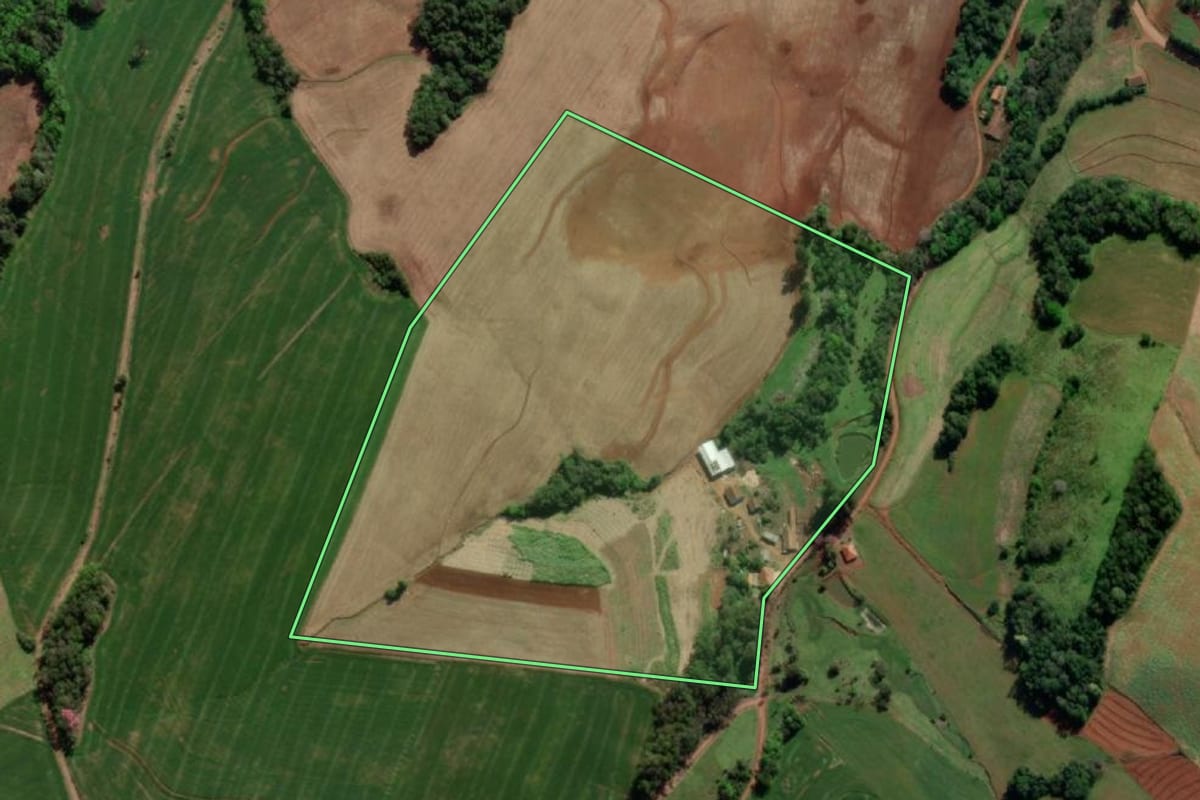 Imagem de satélite do imóvel rural em Crissiumal (RS), com o contorno declarado no CAR desenhado por cima.