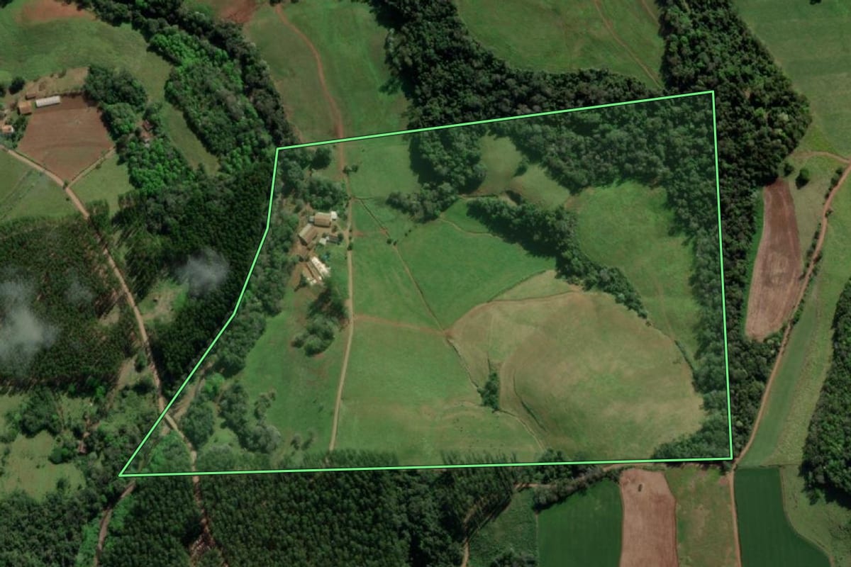 Imagem de satélite do imóvel rural em Crissiumal (RS), com o contorno declarado no CAR desenhado por cima.