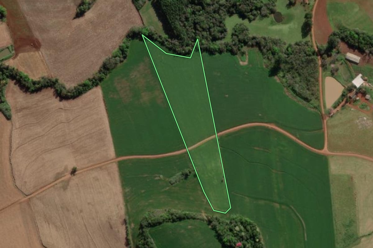 Imagem de satélite do imóvel rural em Crissiumal (RS), com o contorno declarado no CAR desenhado por cima.
