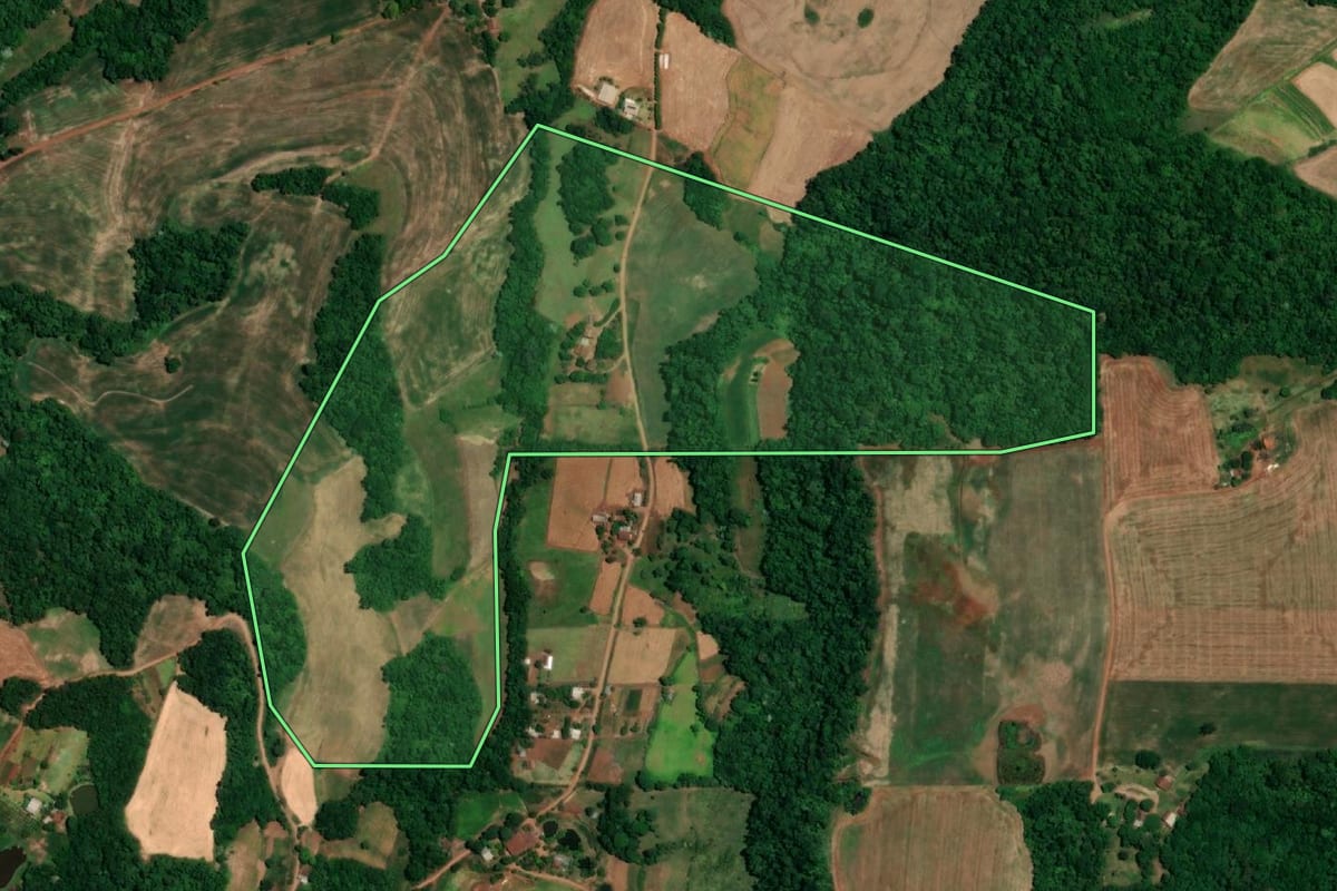 Imagem de satélite do imóvel rural em Crissiumal (RS), com o contorno declarado no CAR desenhado por cima.