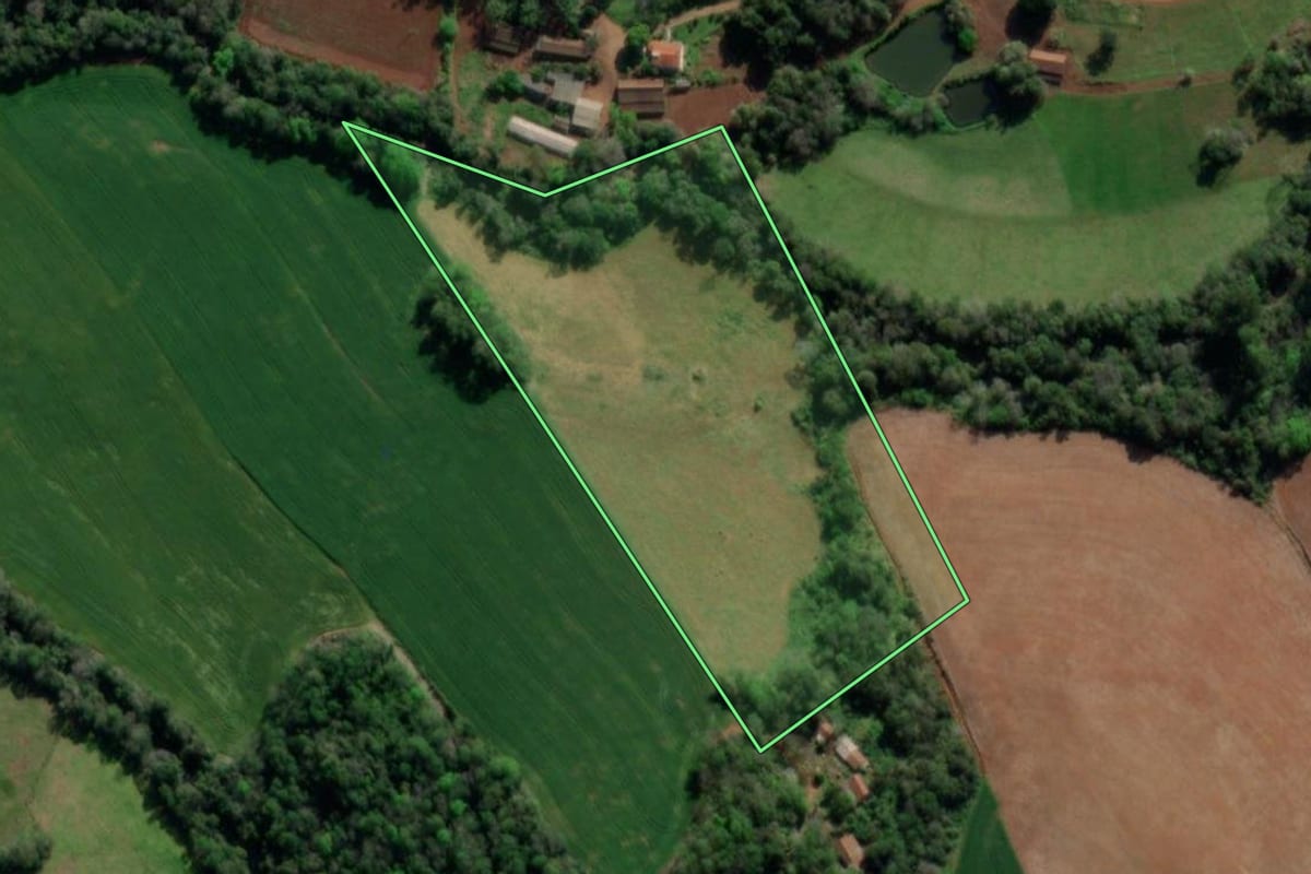 Imagem de satélite do imóvel rural em Crissiumal (RS), com o contorno declarado no CAR desenhado por cima.