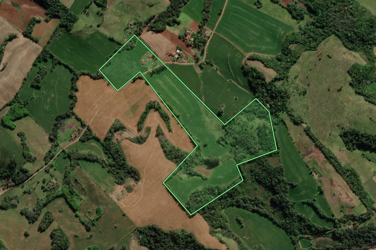 Imagem de satélite do imóvel rural em Crissiumal (RS), com o contorno declarado no CAR desenhado por cima.