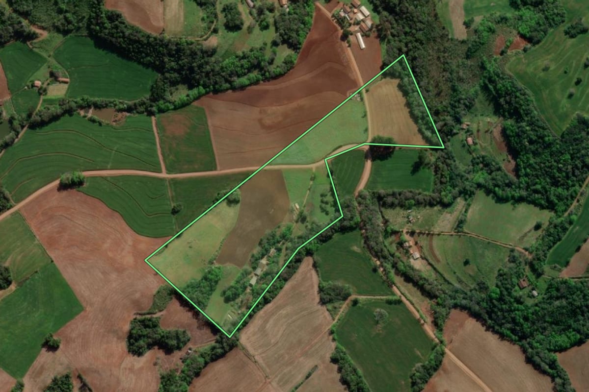 Imagem de satélite do imóvel rural em Crissiumal (RS), com o contorno declarado no CAR desenhado por cima.