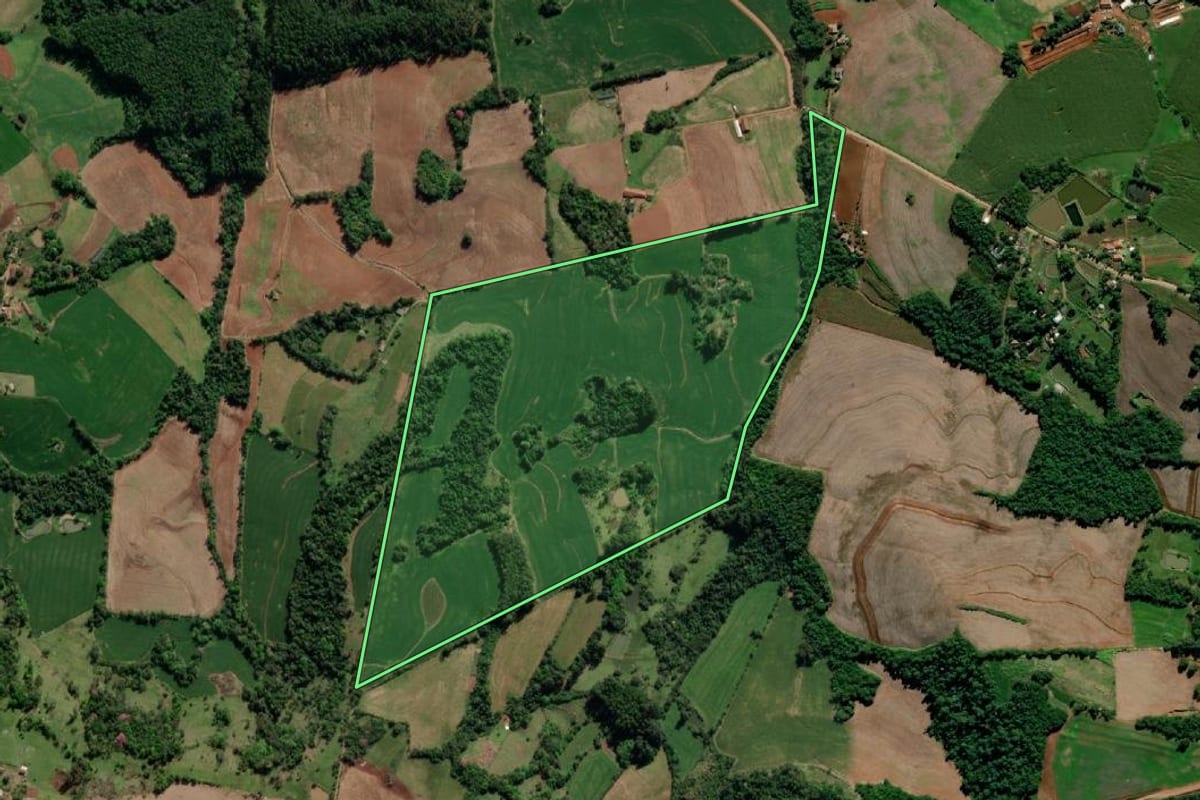 Imagem de satélite do imóvel rural em Crissiumal (RS), com o contorno declarado no CAR desenhado por cima.