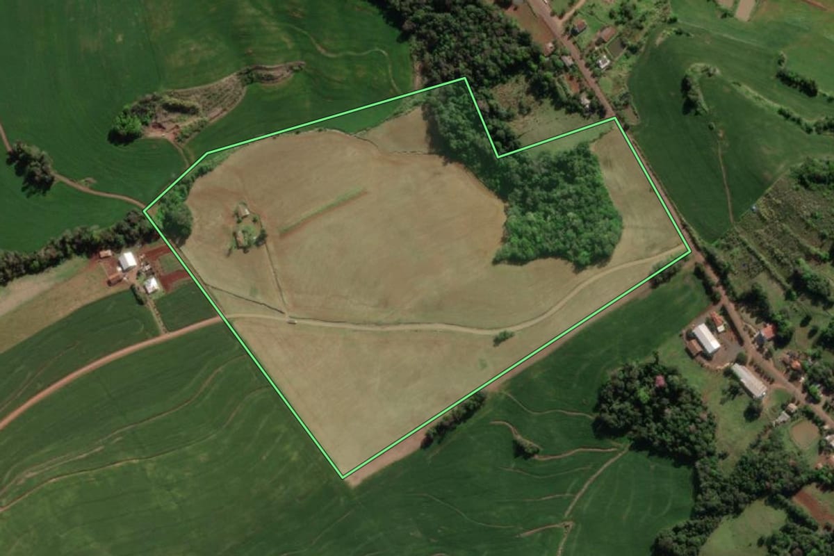 Imagem de satélite do imóvel rural em Crissiumal (RS), com o contorno declarado no CAR desenhado por cima.