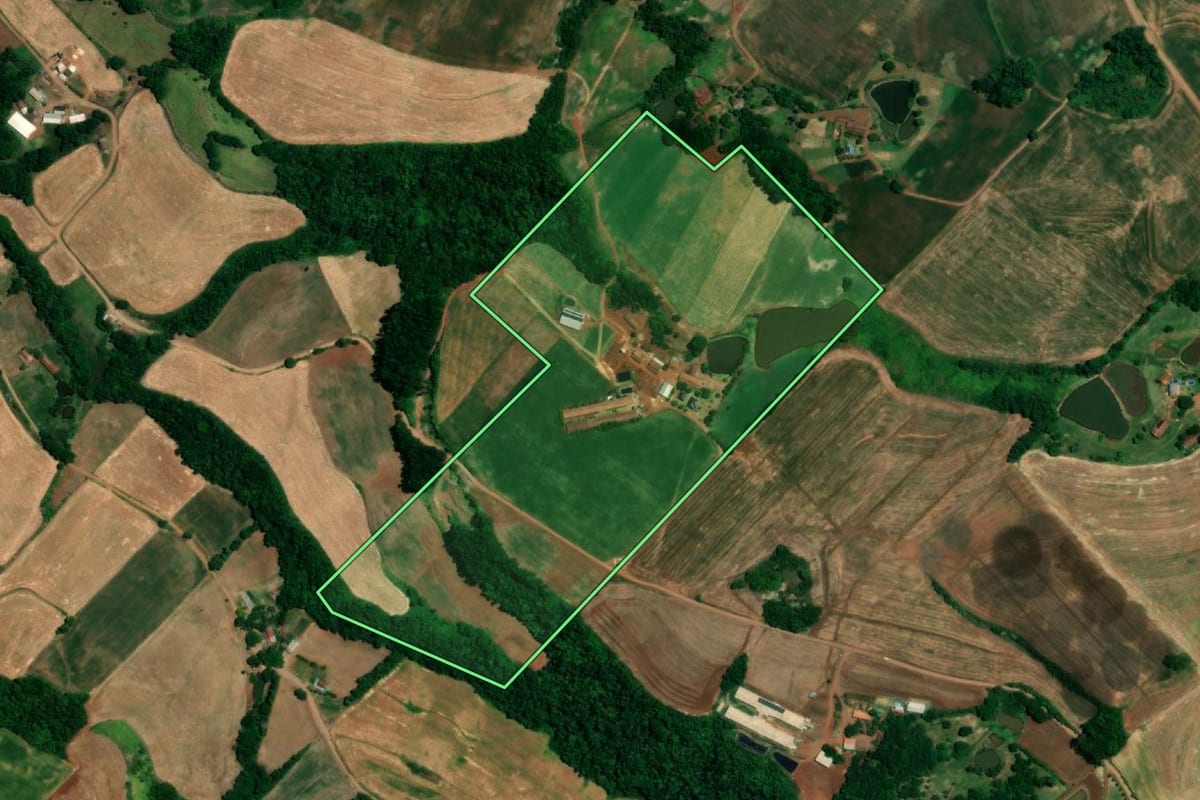 Imagem de satélite do imóvel rural em Crissiumal (RS), com o contorno declarado no CAR desenhado por cima.