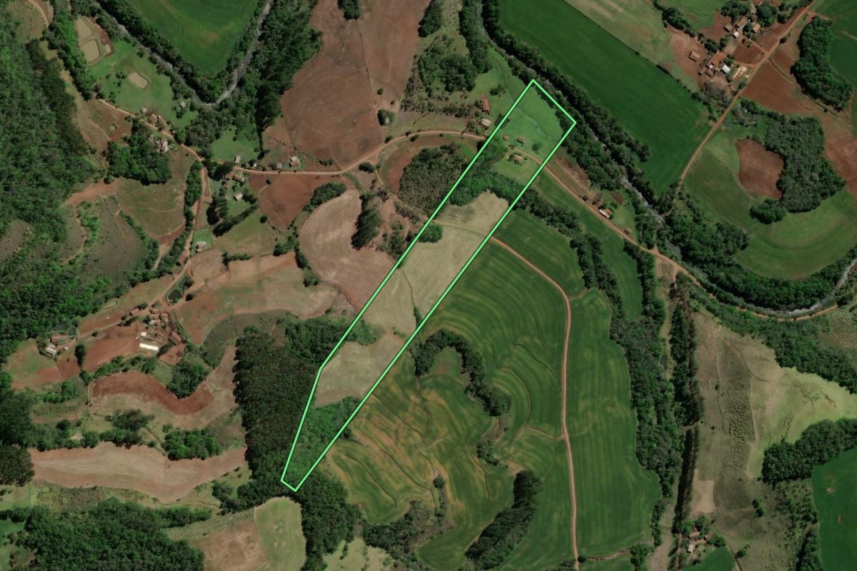 Imagem de satélite do imóvel rural em Crissiumal (RS), com o contorno declarado no CAR desenhado por cima.