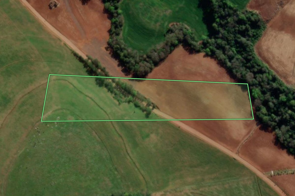 Imagem de satélite do imóvel rural em Crissiumal (RS), com o contorno declarado no CAR desenhado por cima.