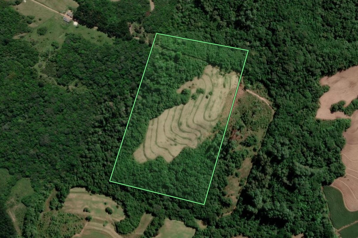 Imagem de satélite do imóvel rural em Cristal (RS), com o contorno declarado no CAR desenhado por cima.