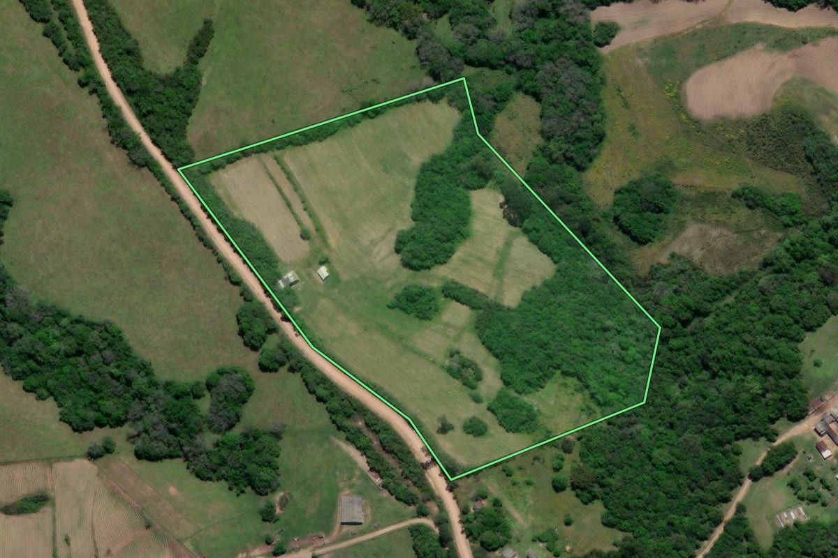 Imagem de satélite do imóvel rural em Cristal (RS), com o contorno declarado no CAR desenhado por cima.