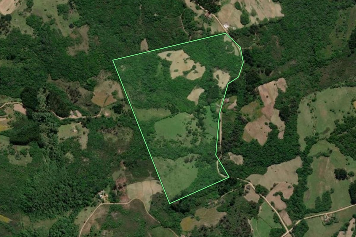 Imagem de satélite do imóvel rural em Cristal (RS), com o contorno declarado no CAR desenhado por cima.
