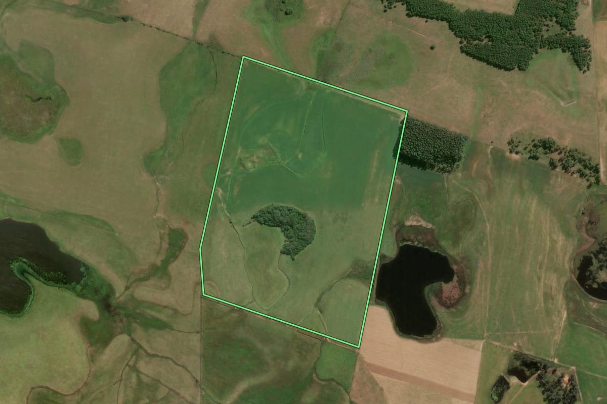 Imagem de satélite do imóvel rural em Cristal (RS), com o contorno declarado no CAR desenhado por cima.