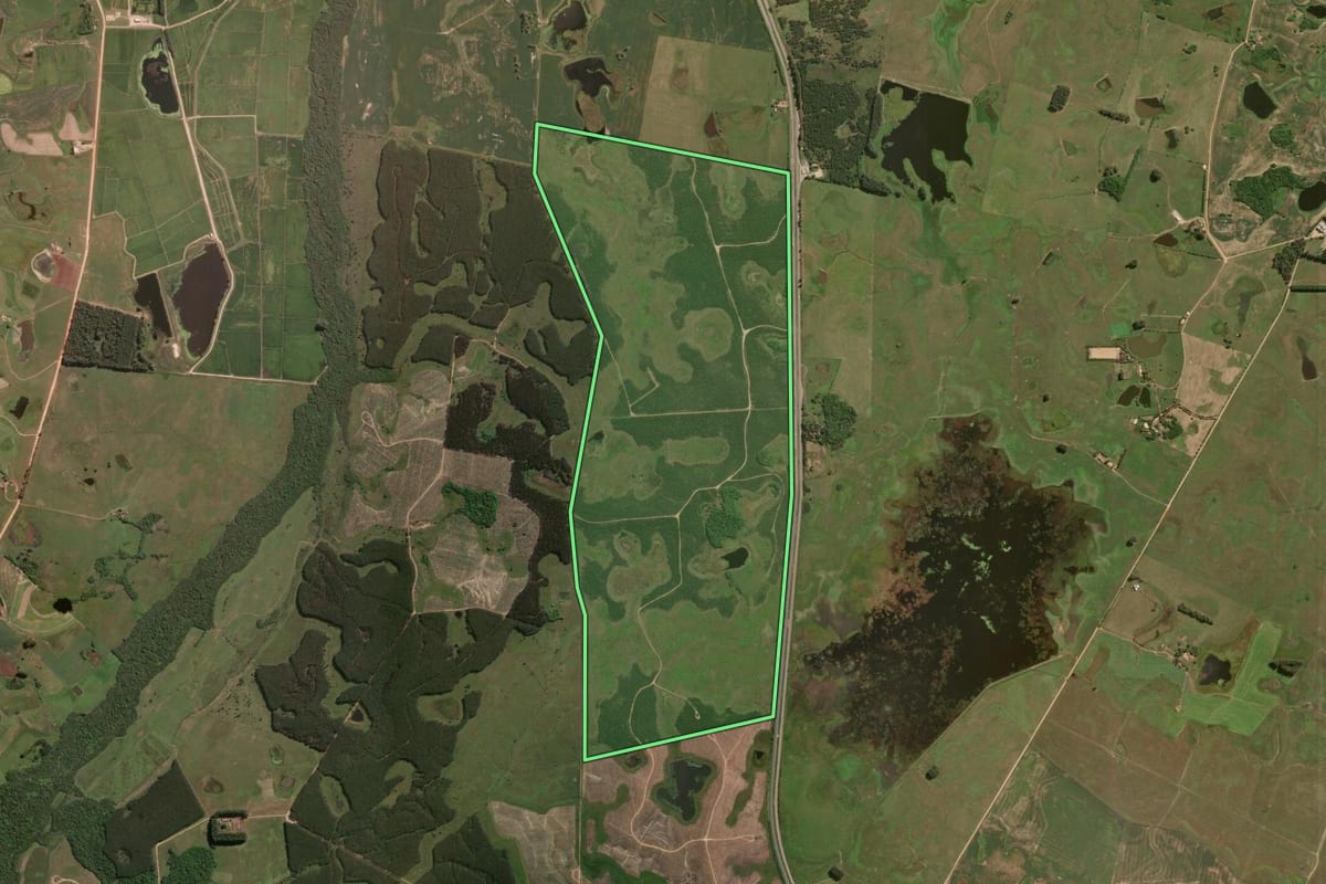 Imagem de satélite do imóvel rural em Cristal (RS), com o contorno declarado no CAR desenhado por cima.
