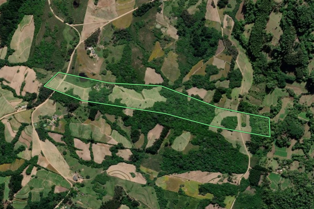 Imagem de satélite do imóvel rural em Cristal (RS), com o contorno declarado no CAR desenhado por cima.