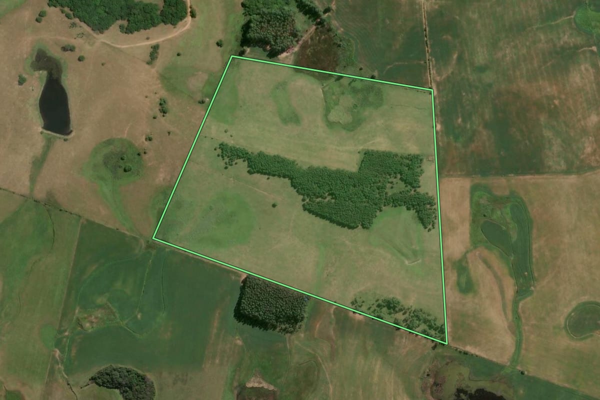 Imagem de satélite do imóvel rural em Cristal (RS), com o contorno declarado no CAR desenhado por cima.