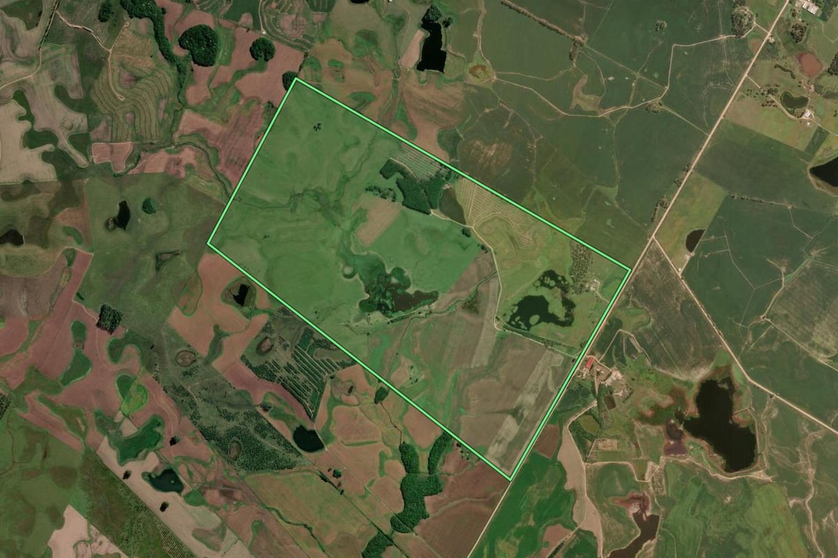 Imagem de satélite do imóvel rural em Cristal (RS), com o contorno declarado no CAR desenhado por cima.